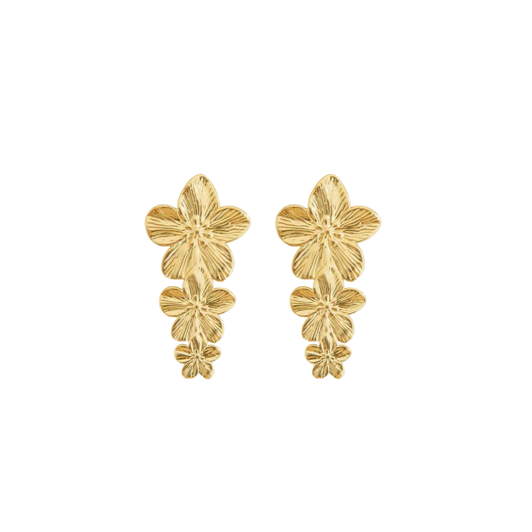 Aretes Spring 1