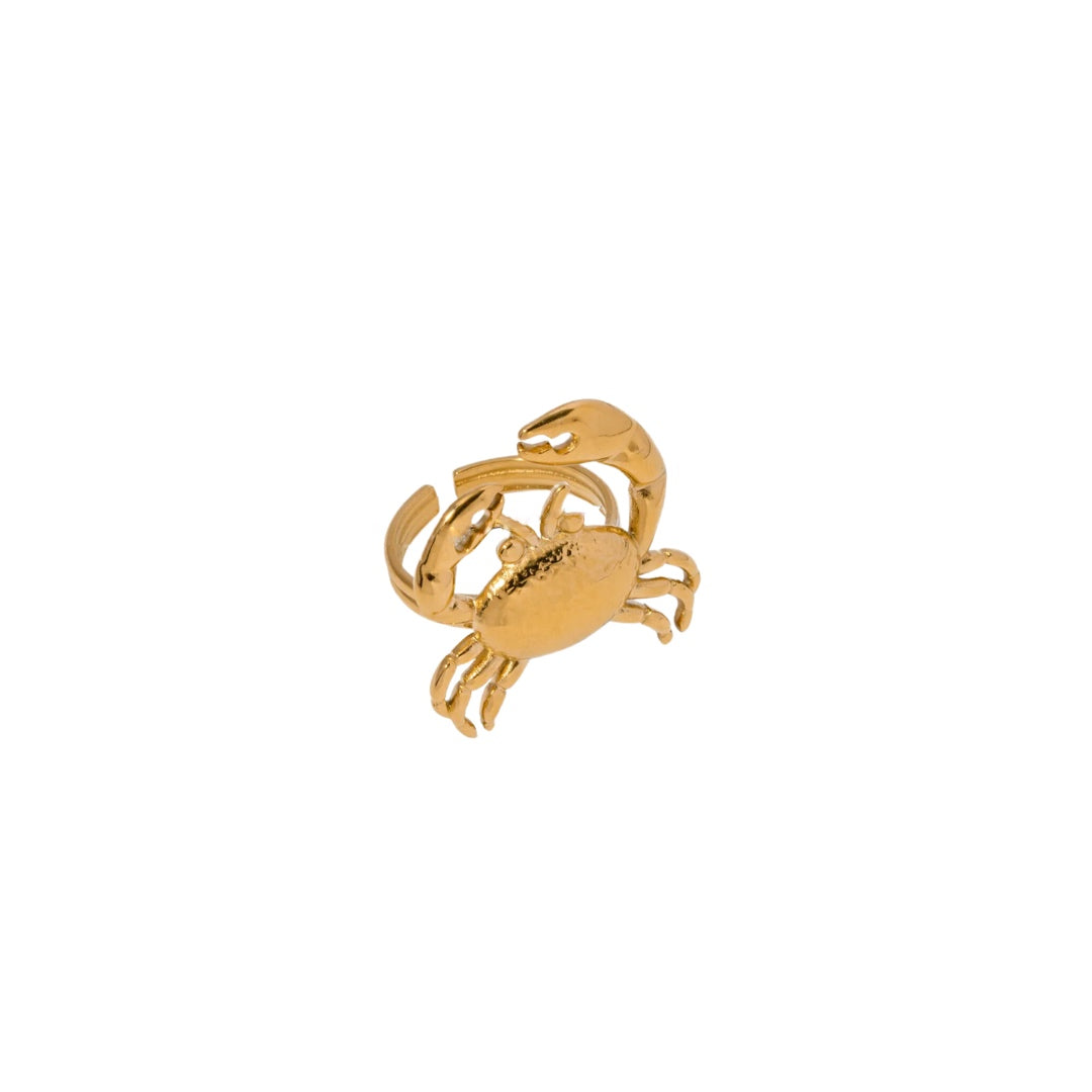 Anillo Crab